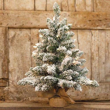 Winter Whisper Tree With Lights, 24